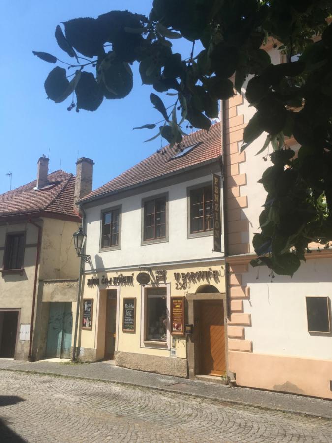 Penzion U Borovicku Litoměřice エクステリア 写真