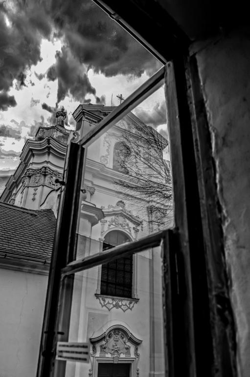 Penzion U Borovicku Litoměřice エクステリア 写真