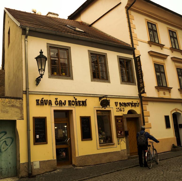 Penzion U Borovicku Litoměřice エクステリア 写真