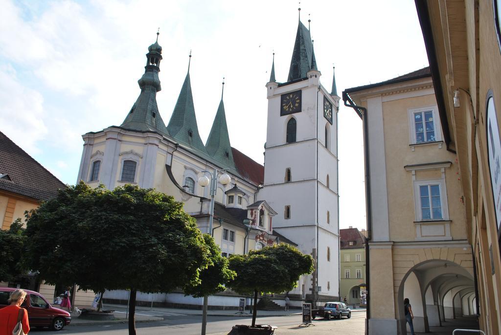 Penzion U Borovicku Litoměřice エクステリア 写真