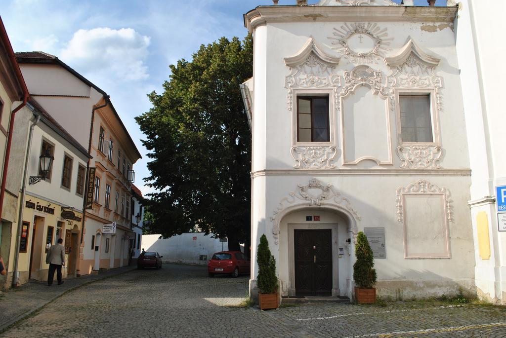 Penzion U Borovicku Litoměřice エクステリア 写真