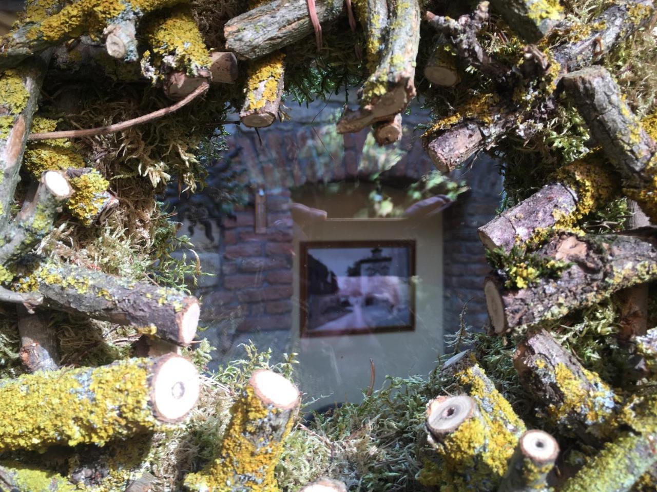 Penzion U Borovicku Litoměřice エクステリア 写真